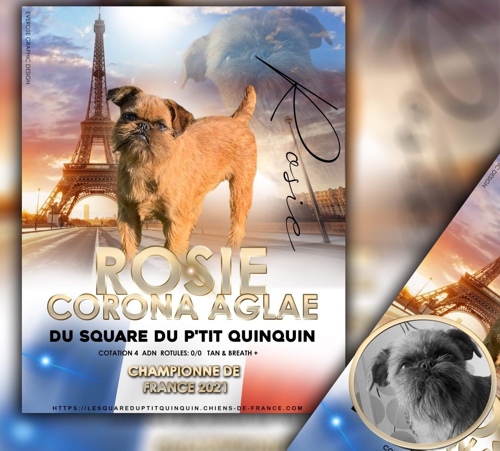 du square du p'tit quinquin - Rosie championne de France 2021 