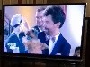 - Bobette gagne le concours canin à la télévision belge !!