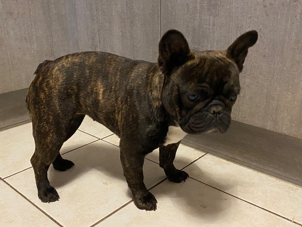 Vini viti vici de l'Empire des Hellls