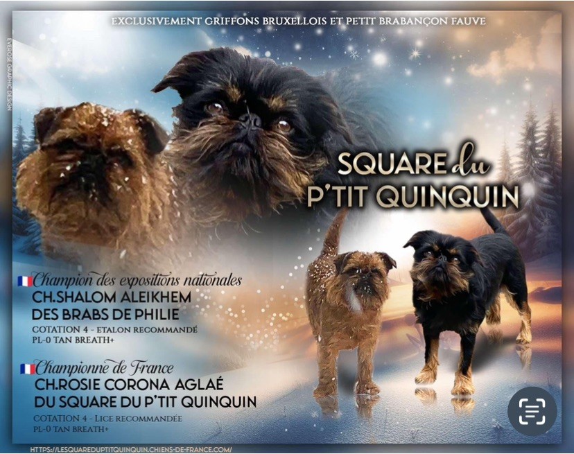 du square du p'tit quinquin - Des bébés attendus pour mi novembre 