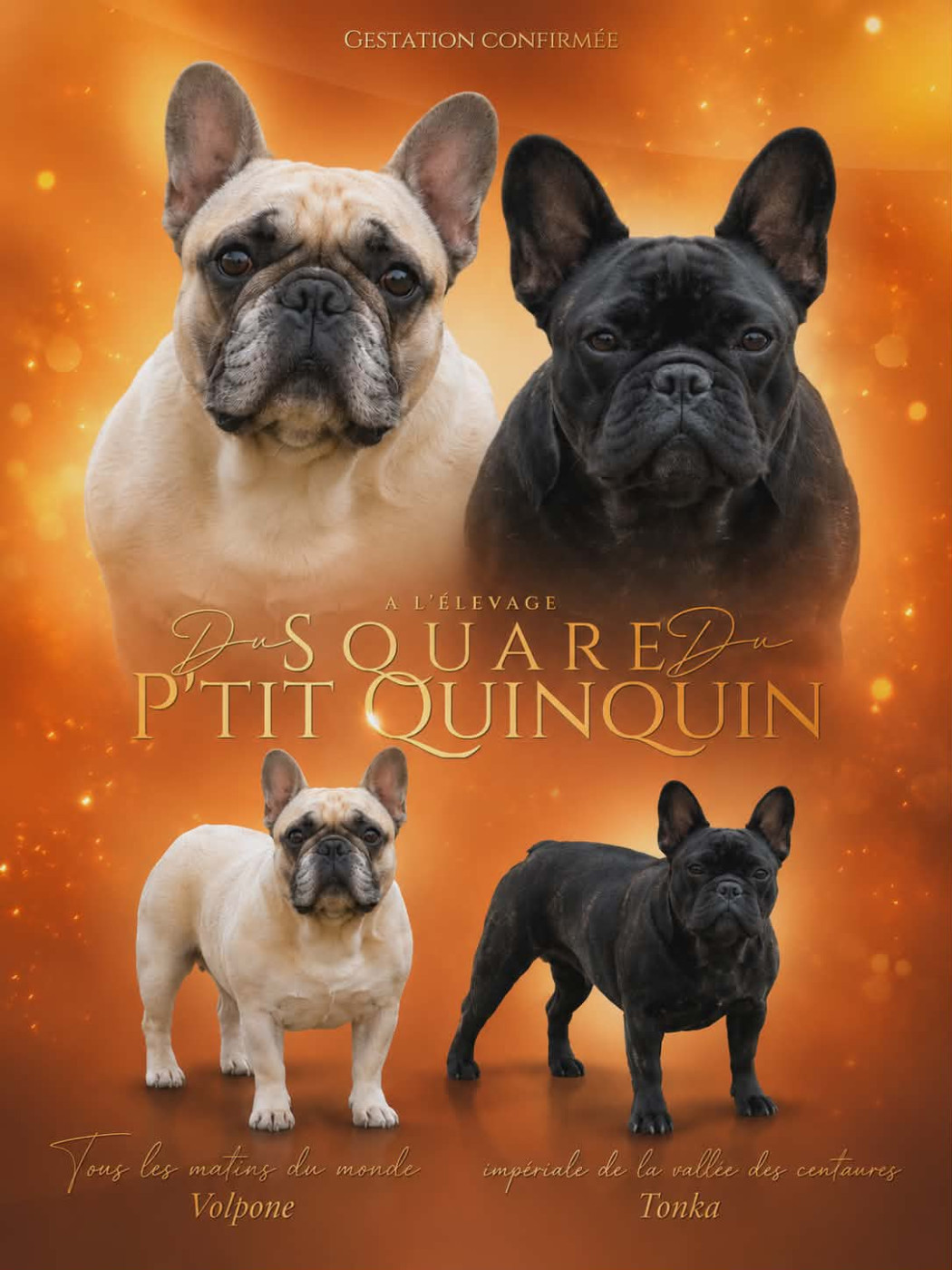 Des bbs a l élevage début juillet